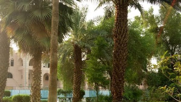 Ini di Madinah, Tapi Serasa Indonesia