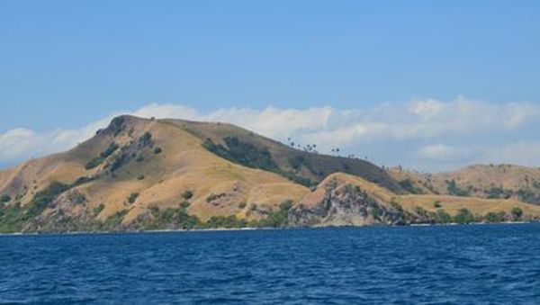 Ini Dia Pulau Komodo yang Cantik Itu!