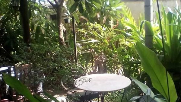 Ini Hotel Murah Meriah Untuk Liburan di Kamboja