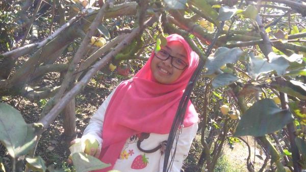 Ini Khasnya Malang, Petik Apel Langsung dari Pohonnya