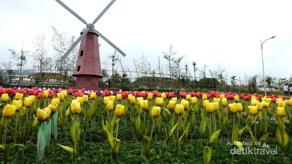 Ini Nih Taman Mini Ala Baturaden