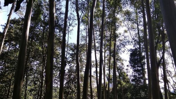 Ini Nih Titik 0 Citarum