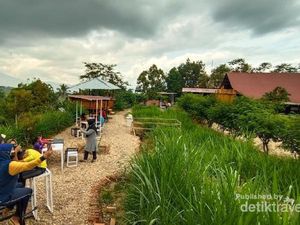 Ini Peternakan Hits dan Viral dari Kabupaten Agam Sumbar