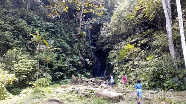 Ini Surga Tersembunyi di Tengah Kebon Raya Cibodas