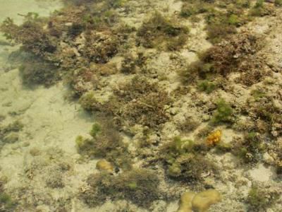 Ini yang Bening-bening di Anyer