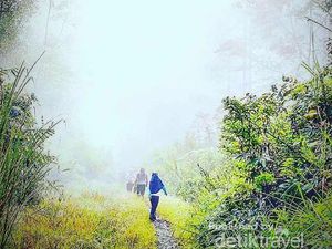 Inilah Dataran Tinggi Gayo