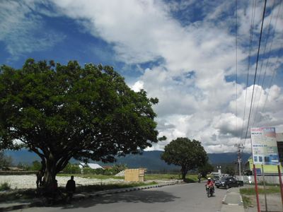Inilah Kota yang Sejuk di Papua