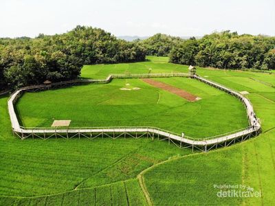Inilah Sawah Instagenic di Yogyakarta