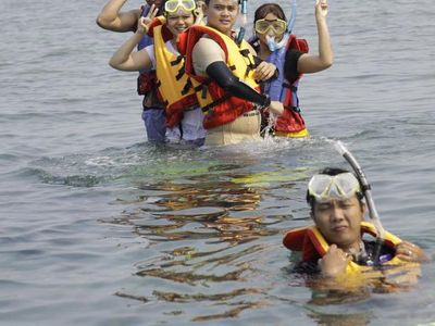 Intip Biota Bawah Laut Pulau Payung