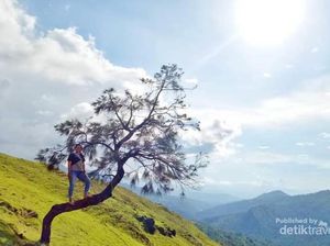Intip Cantiknya Destinasi Timor Tengah Selatan