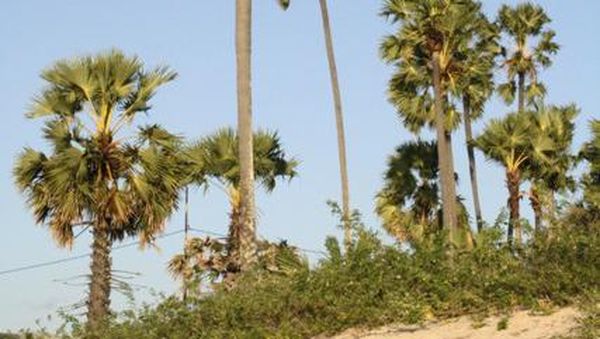 Istana Kuning, Sisa Kejayaan Kotawaringin Barat