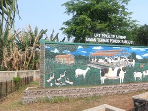 Jakarta Punya Eduwisata Peternakan Lho!