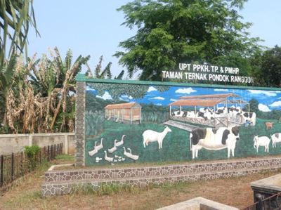 Jakarta Punya Eduwisata Peternakan Lho!