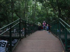 Jalan-jalan Santai di Forest Walk Bandung