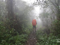 Jalan Panjang Menuju Puncak Gunung Argopuro