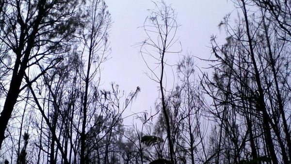 Jalur Mistis Candi Cetho