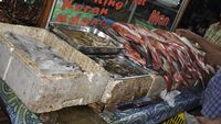 Jangan Lewati  Menikmati Kuliner Malam di Kampung Solor, Kupang