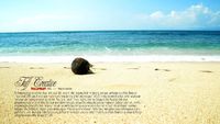 Jangan Tertipu Pemandangannya! Pantai Balangan Itu Pantai Indonesia