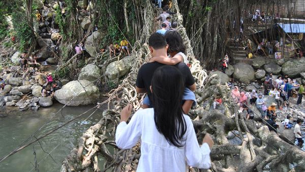 Jembatan Akar, Bukti Kekuatan Alam di Painan