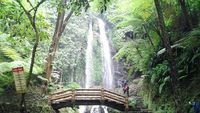 Jumog, Si Cantik dari Karanganyar