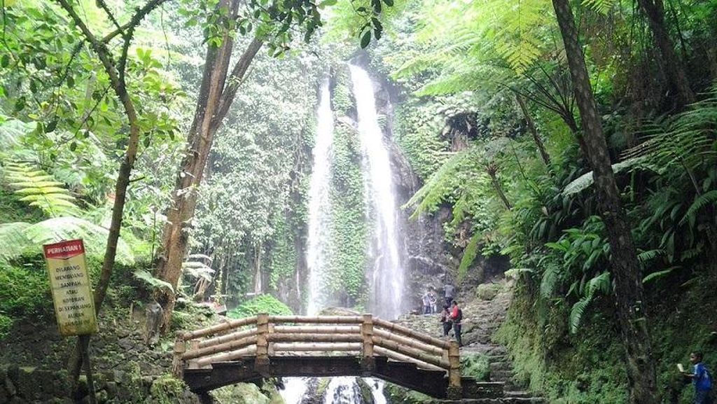 Jumog, Si Cantik dari Karanganyar Jumog, Si Cantik dari Karanganyar