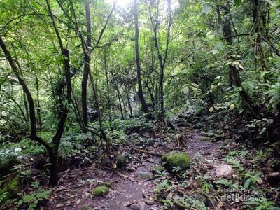 Kaki Gunung Talamau Punya Air Terjun Seindah Ini