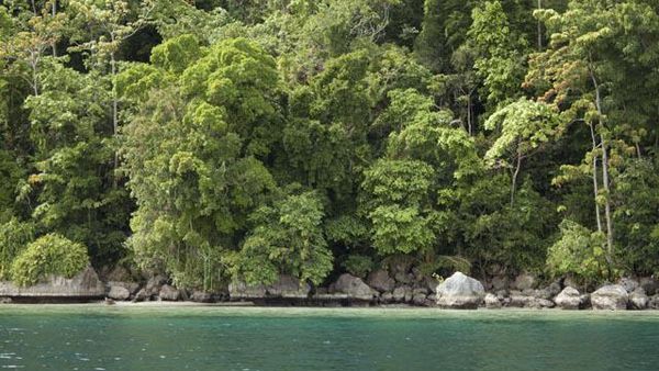 Karang dan Tebing Bebatuan Curam Nan Cantik