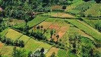 Karanganyar, Sejauh Mata Memandang