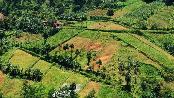 Karanganyar, Sejauh Mata Memandang