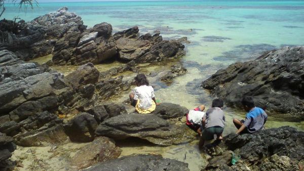 Karimunjawa: Surga Indonesia