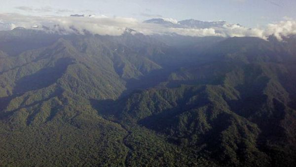 Karpet Hijau dari Bumi Cendrawasih