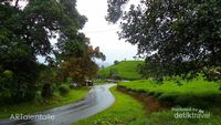 Kebun Teh Kaki Gunung Talang, Ini Puncak-nya Sumbar