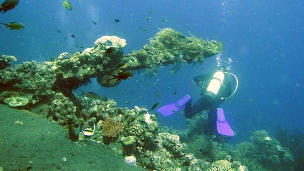 Kehidupan Bawah Laut Tulamben