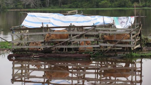 Kehidupan Masyarakat Teluk Aur