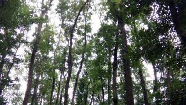 Keindahan Aik Nyet di Lombok yang Jarang Orang Tahu