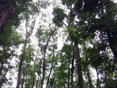 Keindahan Aik Nyet di Lombok yang Jarang Orang Tahu