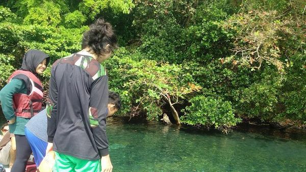Keindahan Alam Bawah Laut Lagoon Cabe di Sekitar Krakatau