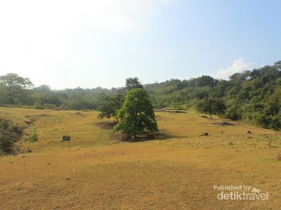Keindahan Cagar Alam Pananjung di Pangandaran