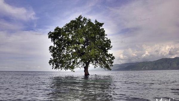 Keindahan Panorama Pantai di Nusa Tenggara Timur