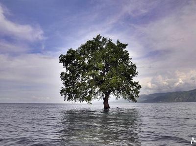 Keindahan Panorama Pantai di Nusa Tenggara Timur