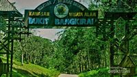 Kembali ke Alam Ala Bukit Bangkirai di Balikpapan