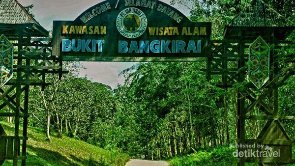 Kembali ke Alam Ala Bukit Bangkirai di Balikpapan