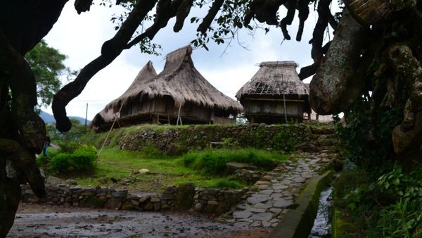 Kembali ke Masa Lalu di Kampung Tradisional Wologai, NTT