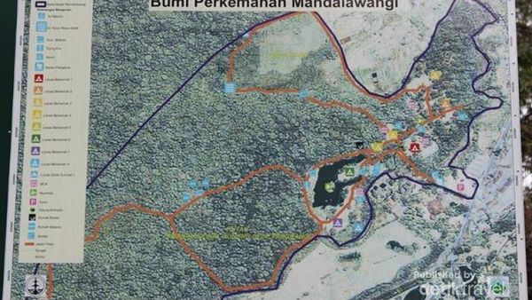 Kemping Asyik di Bumi Perkemahan Mandalawangi Cibodas