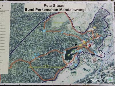 Kemping Asyik di Bumi Perkemahan Mandalawangi Cibodas