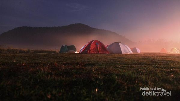 Kemping Asyik di Ranca Upas, Bandung