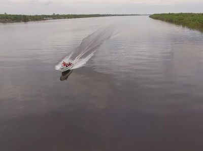 Kenal Primata Lebih Dekat di Kapuas