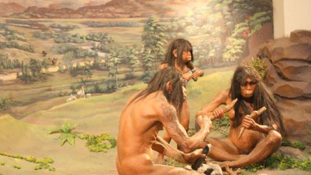 Kerangka Manusia Purba di Museum Nasional, Jakarta Kerangka Manusia Purba di Museum Nasional, Jakarta