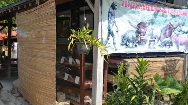 Keren! Ada Situs Manusia Purba di Tegal