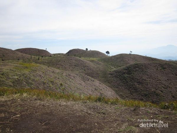 Ketika Kemarau Menyapa Bukit Teletubbies di Gunung Prau